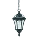 Endon YG-3503 Drayton Outdoor Hanging Lantern