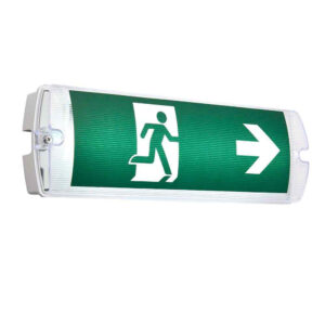 EM-LED-BH1DP | Emergency LED Bulkhead